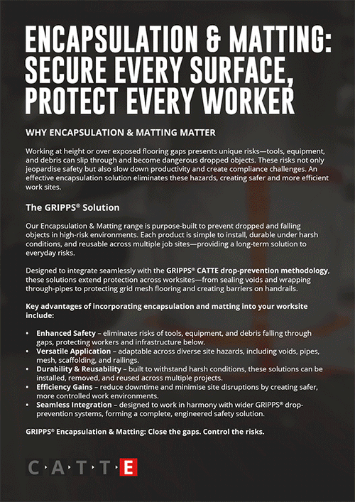 Encapsulation and Matting Brochure